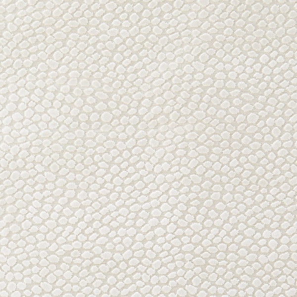 Dotland Ivory