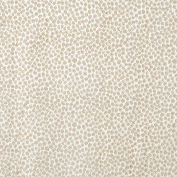 Dotland Sand