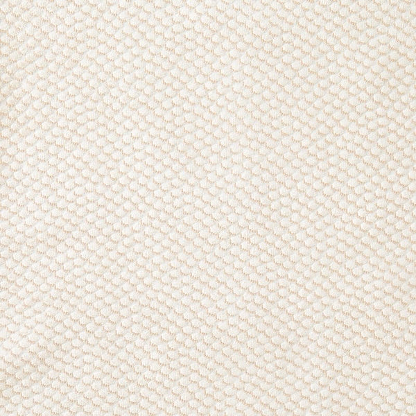 Jazzy Parchment