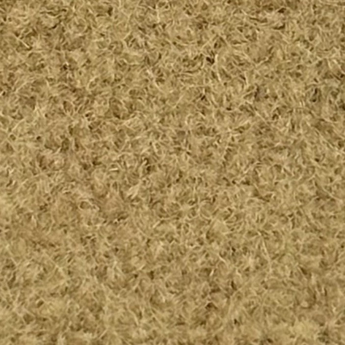 CLOTH-golden