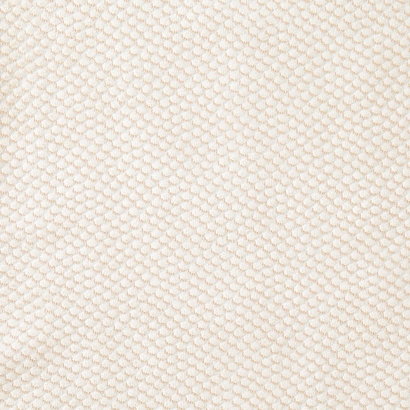 FABRIC-jazzy_parchment